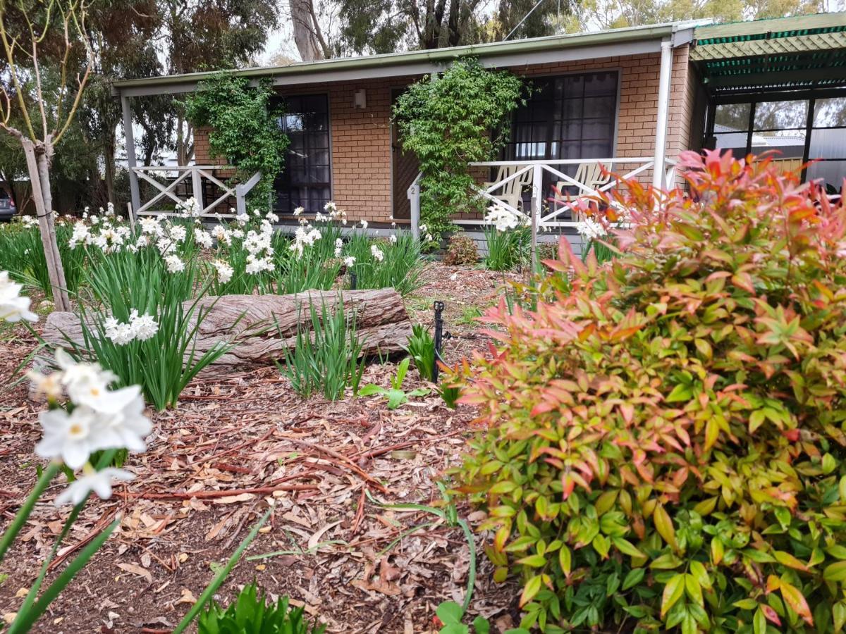 Barossa Country Cottages Lyndoch Dış mekan fotoğraf